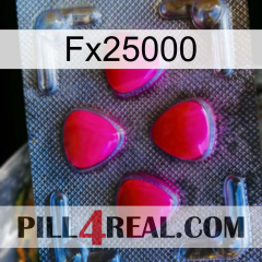 Fx25000 13